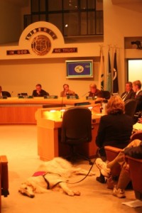 Dog sleeps peacefully in Oceanside City Council chambers while controversy rages all around / Photo: Katerina Lorenzatos Makris