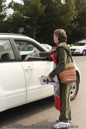 Demonstrator at Athens Fur Fair handing anti-fur leaflets to passing motorists Photo: Katerina Lorenzatos Makris
