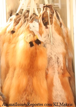Fur trade is important to the Greek economy, says industry spokesman Farmed Animals