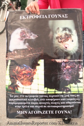 Protestor's sign depicting wounds on animals used in fur trade Photo: Katerina Lorenzatos Makris
