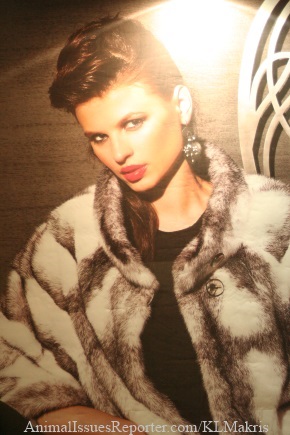European Union should help Greek fur industry workers switch to other trades, says animal advocate Animal Advocacy