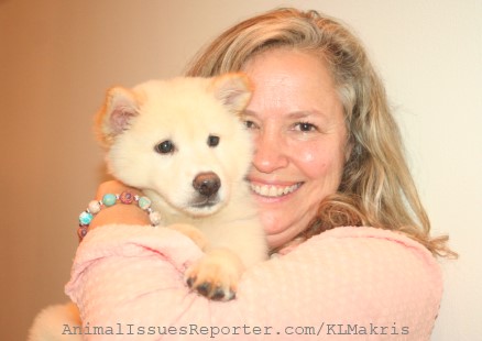 Puppy rescued from Chinese dog meat market steals the show at Humane Society benefit gala Animal Advocacy