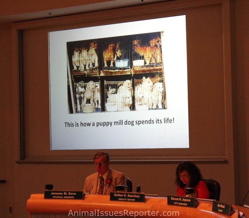 Supporters of the ban made a presentation to the council about the alleged illegal treatment of animals in mass breeding company facilities or 'puppy mills.'