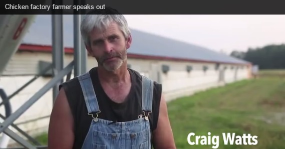 ‘Landmark’ whistle blower case: Farmer alleges that chicken producer Perdue illegally punished him for exposing unsafe and inhumane practices Animal Advocacy