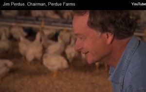 'Doing the right thing is things like treating the chickens humanely,' says Perdue Farms chairman Jim Perdue. Photo: screen shot from commercial on Perdue website
