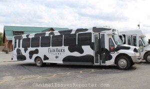 "Dairy Adventure" tour bus at Fair Oaks Farms